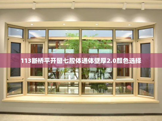 113断桥平开窗七腔体通体壁厚2.0颜色选择